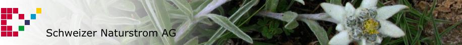 edelweiss
